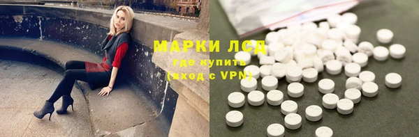 PSILOCYBIN Богородицк