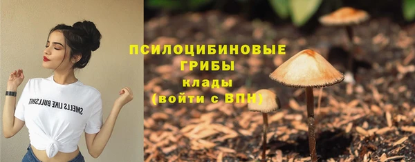 спиды Бородино