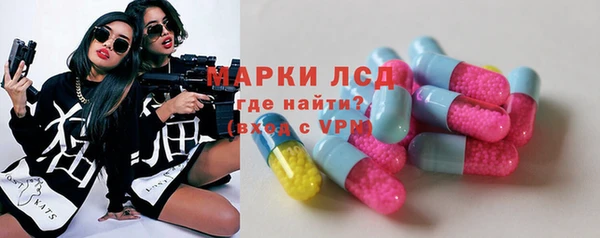 стаф Ладушкин