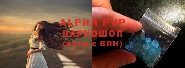 спиды Бородино