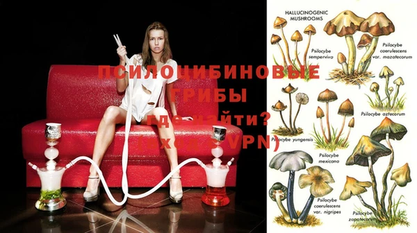 каннабис Бронницы