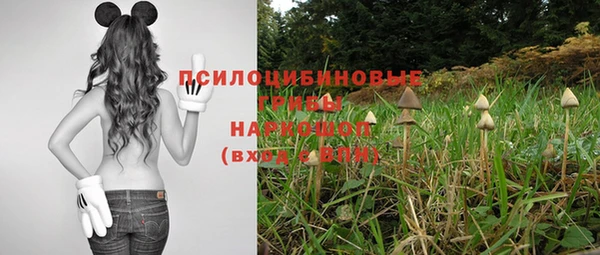 PSILOCYBIN Богородицк