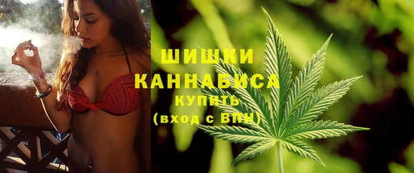 спиды Бородино
